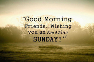 Good morning friends amazing sunday - a picture of a field free wallpaper