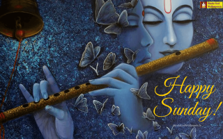 Woman playing flute butterflies bell - a flute free wallpaper