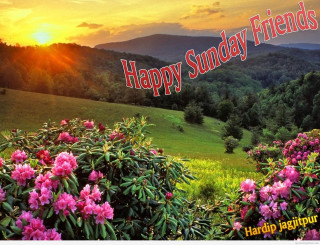 Sunset happy sunday field of 2 - sun free wallpaper