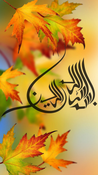 Leaf calligraphy image middle nature - ilm free wallpaper