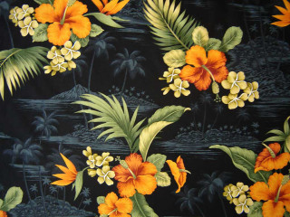 Black orange yellow flowers leaves - fine foliage lace free wallpaper for desktop