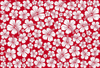 Red white flower pattern white - flower pattern free wallpaper for desktop