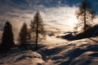 Snowy landscape trees clouds sunset 3 - a sunbeam in the distance free wallpaper