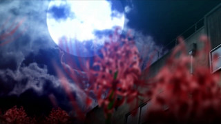 Full moon building red flowers - red flower free wallpaper for desktop