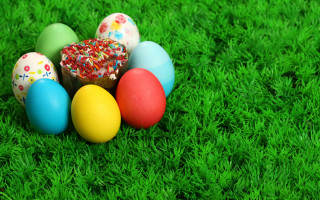 Eggs green field grass sprinkles - a group of eggs free wallpaper