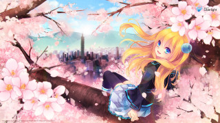 Girl branch flowers city skyscrapers - city background free wallpaper