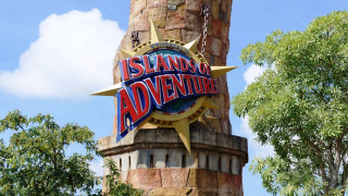 Island of adventure tree sign - side and a star free wallpaper