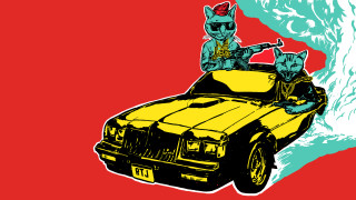 Car cats hood red background - two cat free wallpaper for desktop
