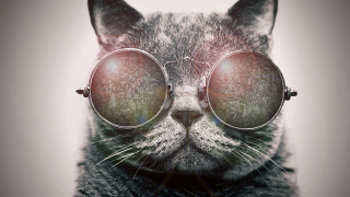 Cat glasses patterned eyes head - same free wallpaper