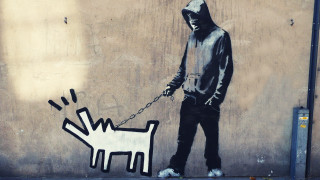 Man hoodie walking dog leash - a leash free wallpaper
