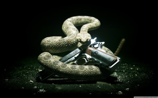 Gun snake dark lighter hand - a lighter free wallpaper