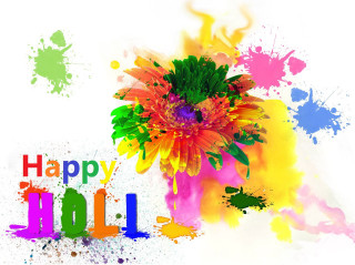 Colorful flower happy holi paint - colour free wallpaper