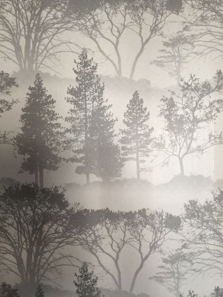 Trees fog background wallpaper nature - environment free wallpaper