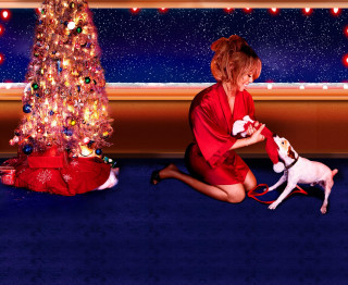 Woman red dress petting dog - a red dress free wallpaper for desktop