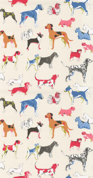 White background dogs side red - free dogs wallpaper for mobile