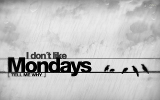 Birds wire black white mondays - a wire free wallpaper