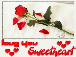Red rose white sheet message 2 - a message below free wallpaper