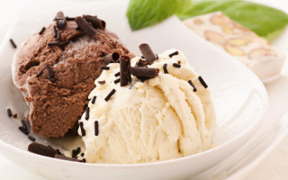 Bowl ice cream chocolate chips - mint free wallpaper