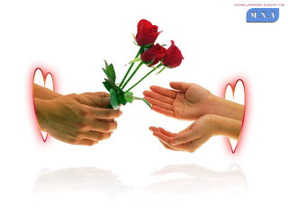 Hands holding rose heart red - a red light behind them free wallpaper