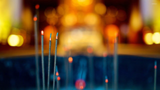 Sticks water bowl bokeh shallow - fang congyi free wallpaper