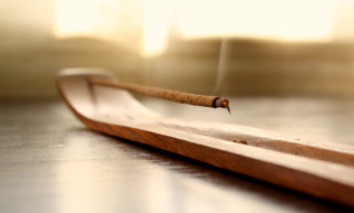 Wooden object insect tip tabletop - tip free wallpaper