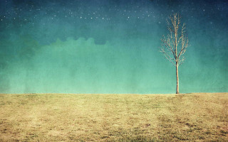 Lone tree field sky stars - a lone tree in a field free wallpaper