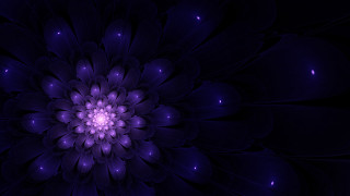 Purple hydrangea mandelbrot flower generative - smaller free wallpaper for desktop