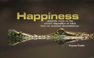 Crocodile head happiness quote side - the other side free wallpaper