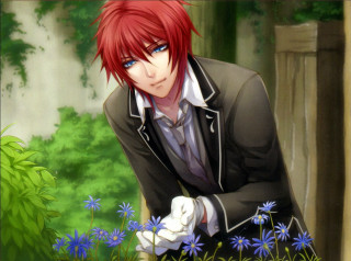 Man suit gloves garden blue - a garden free wallpaper