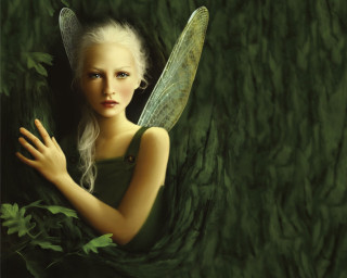 White hair woman green dress - brian and wendy froud free wallpaper