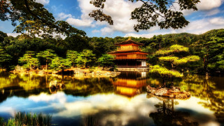 Pagoda forest pond rocks view - a pond free wallpaper for desktop