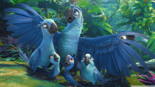 Blue birds forest light rays - pixar and disney animation free wallpaper