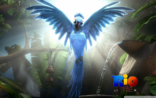 Blue bird wings waterfall sunlight - a blue bird free wallpaper
