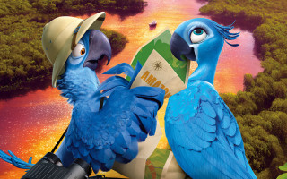 Blue birds hats guns heads - hat free wallpaper