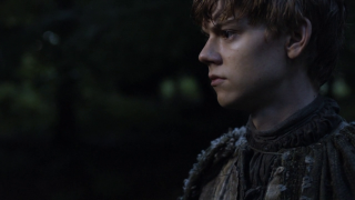 Medieval man distant gaze trees - a dark forest free wallpaper