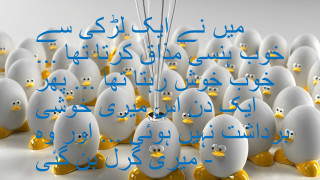 White eggs blue writing yellow - a group free wallpaper
