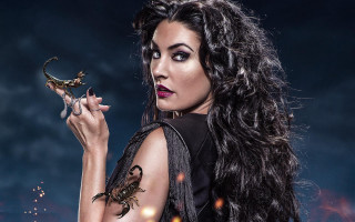 Woman lizard ring fire background - a lizard free wallpaper