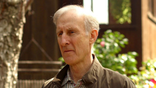 Man standing tree park house - david brewster free wallpaper