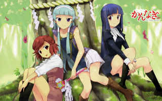 Anime girls tree woods sitting 2 - their leg free wallpaper