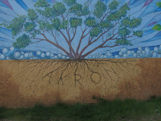 Tree roots sky clouds stars - a cave painting free wallpaper
