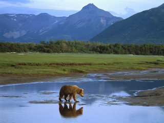 Bear river mountains grass reflection - mountain and grass free wallpaper