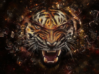 Tiger mouth open teeth wide 4 - mouth free wallpaper
