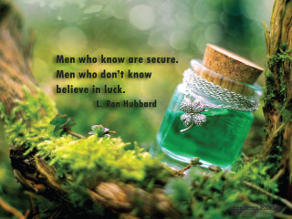 Green jar quote tree branch - moss free wallpaper