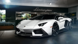 White lamborghini showroom black floor - a large window behind free wallpaper