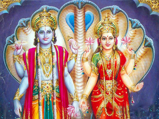 Colorful women peacock head shoulder - a peacock free wallpaper