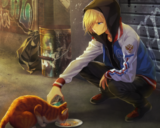 Person feeding cat graffiti wall - a plate of food in front free wallpaper