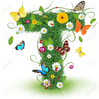 Grass flowers butterflies number one - carles delclaux i free wallpaper for tablet