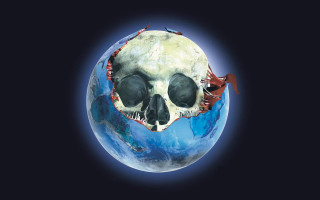 Skull hole middle head image - a skull free wallpaper