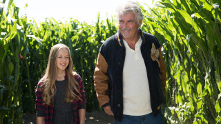 Man girl standing corn field - a still life free wallpaper