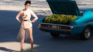 Woman car flowers trunk standing - christabel dennison free wallpaper